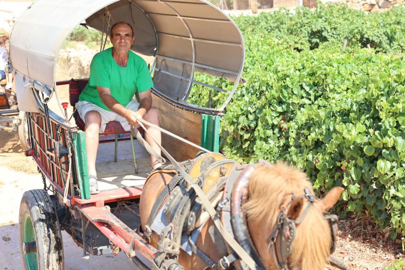 La presentació i l’entrada de la murta aporten l’ambient a l’arranc de les festes de Llíber La presentació i l’entrada de la murta aporten l’ambient a l’arranc de les festes de Llíber